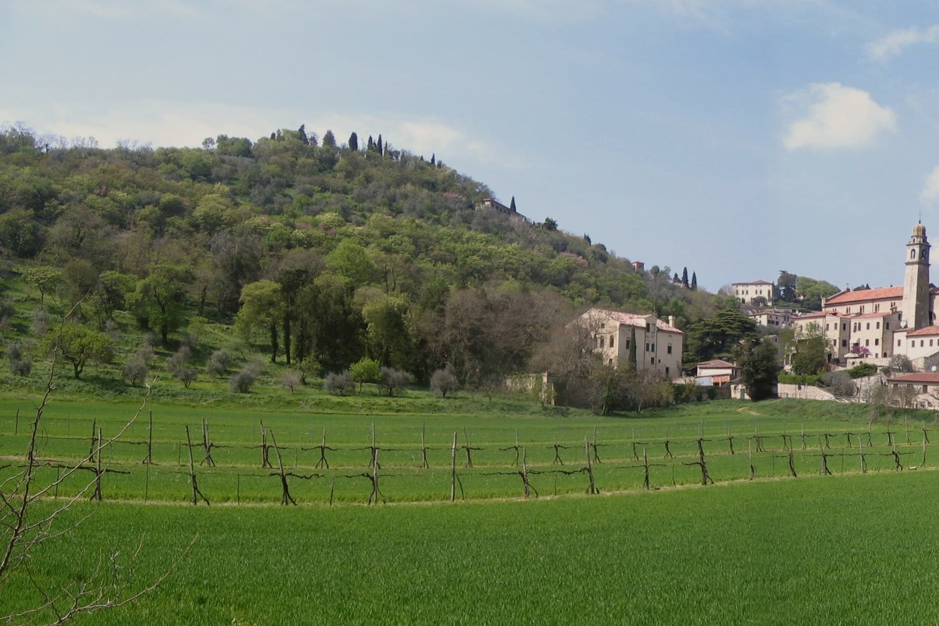 Arquà Petrarca