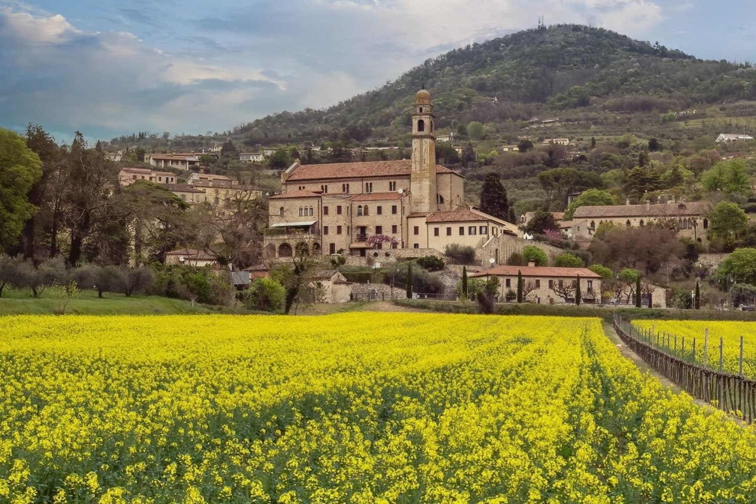Arquà Petrarca, photo 2