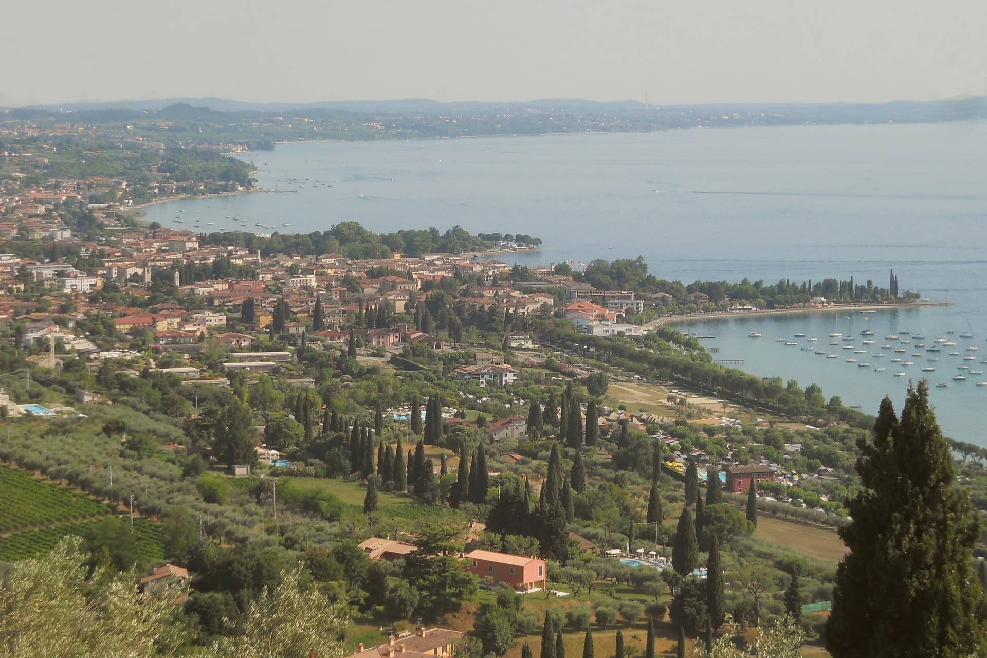 Bardolino