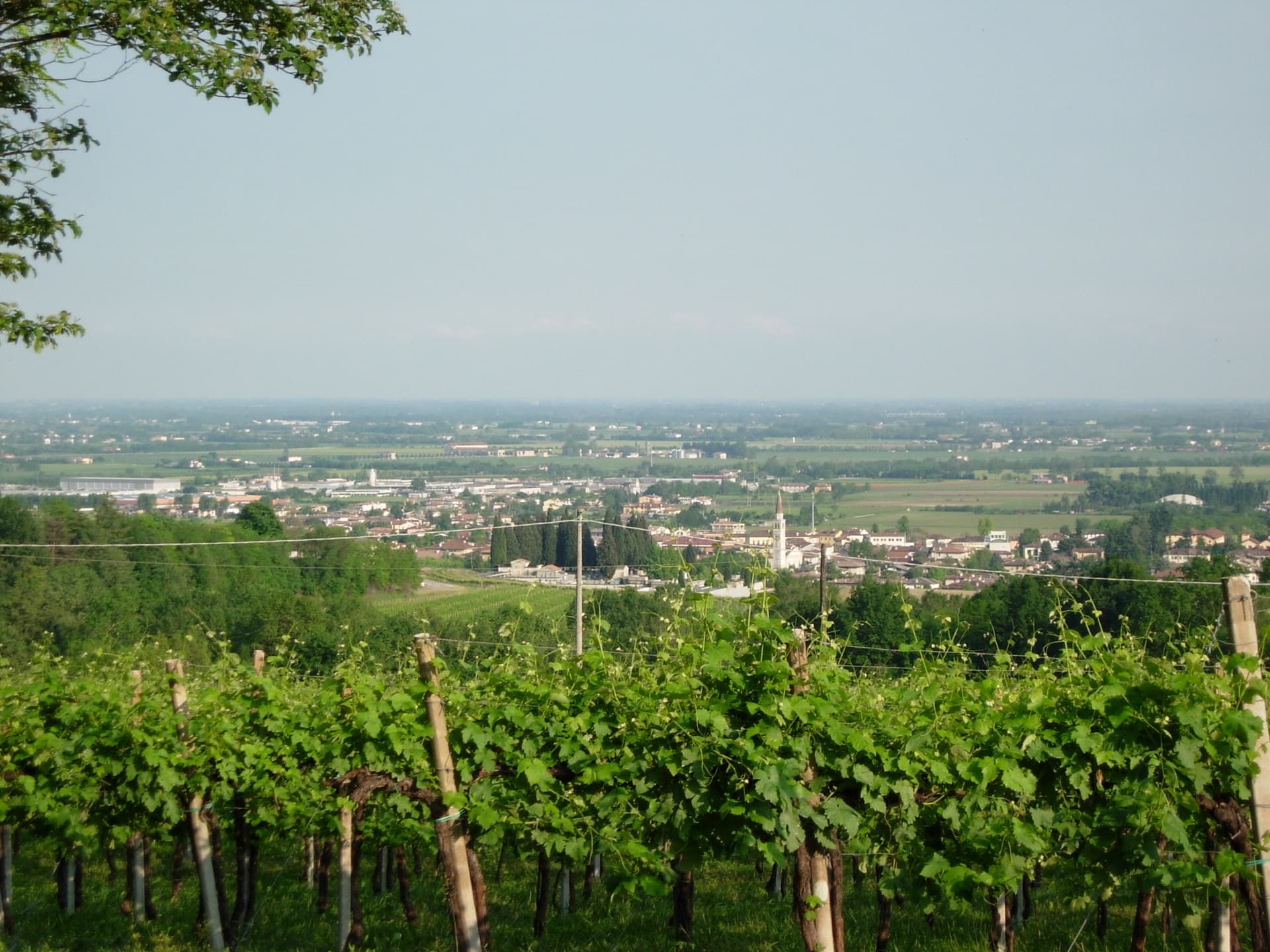 Susegana — photo 1