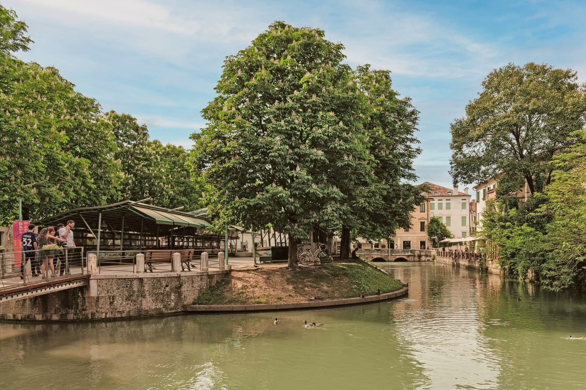 Treviso, photo 2