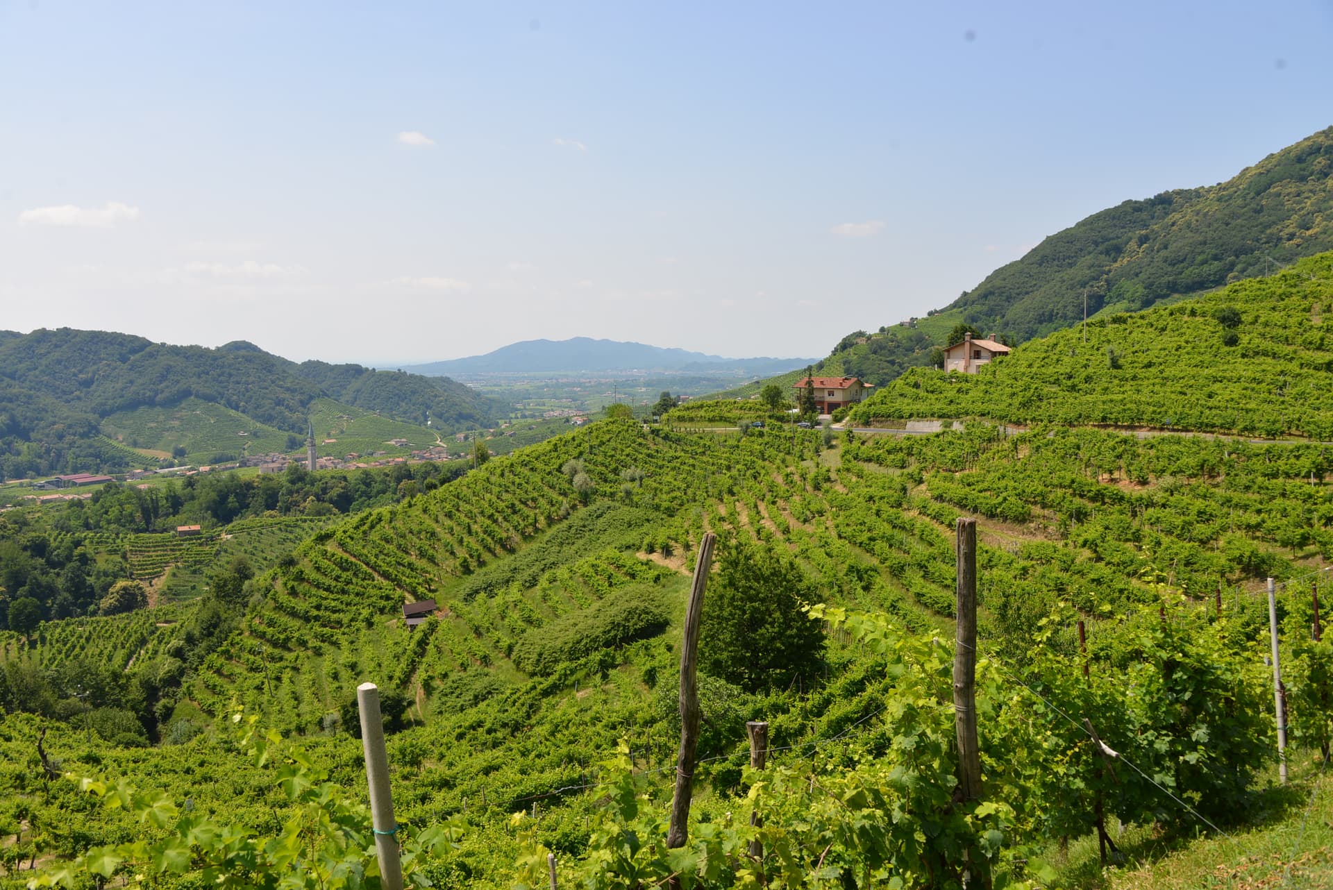 Valdobbiadene