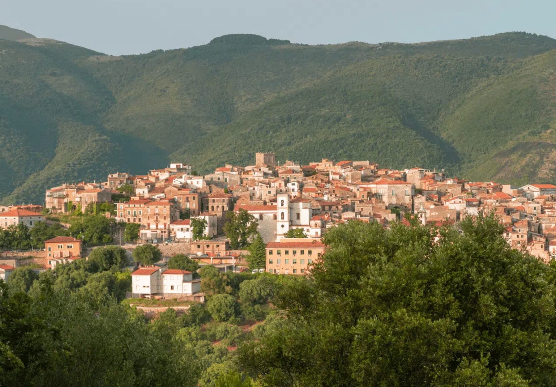 Camerota