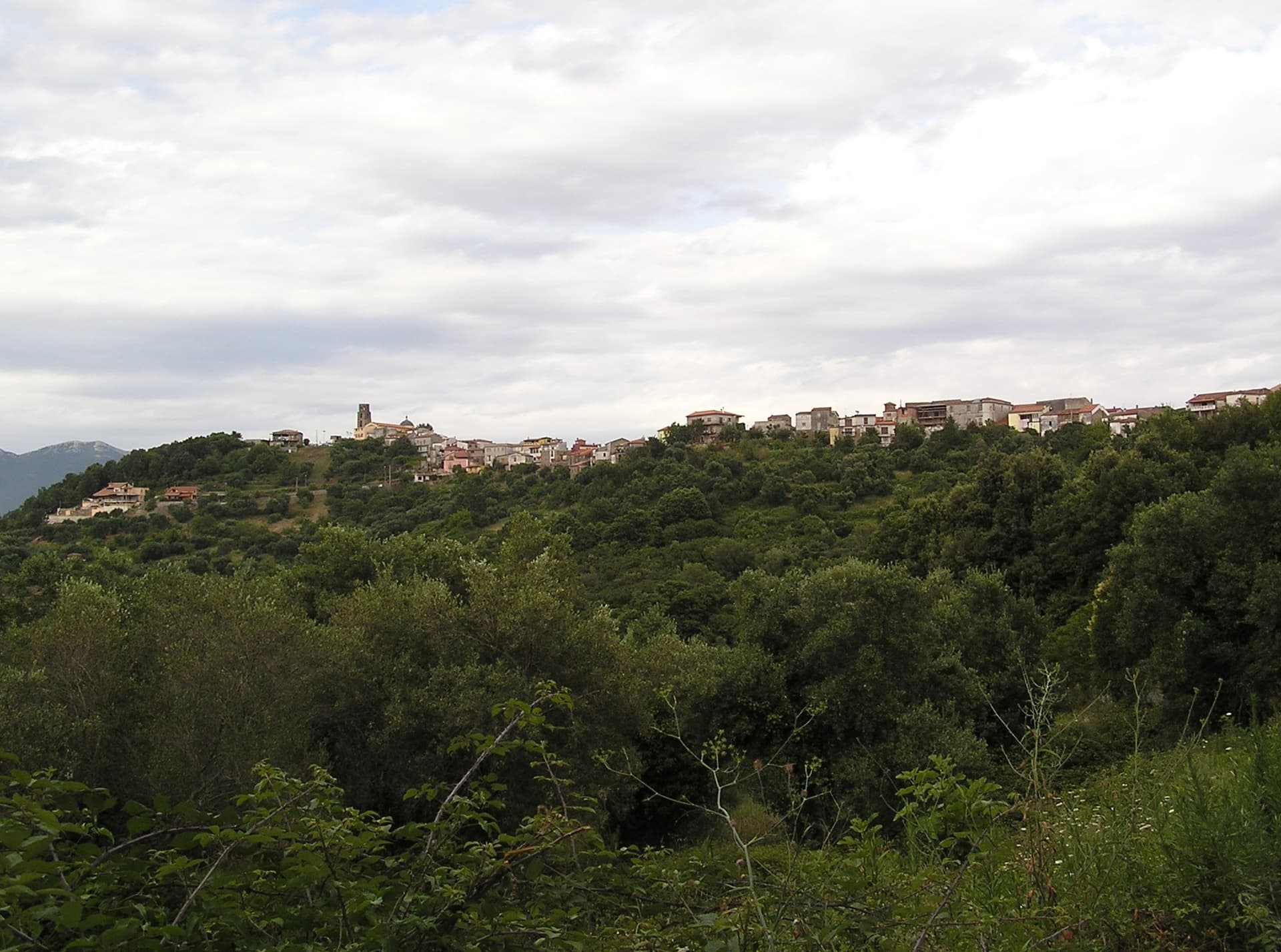 Perito — photo 2