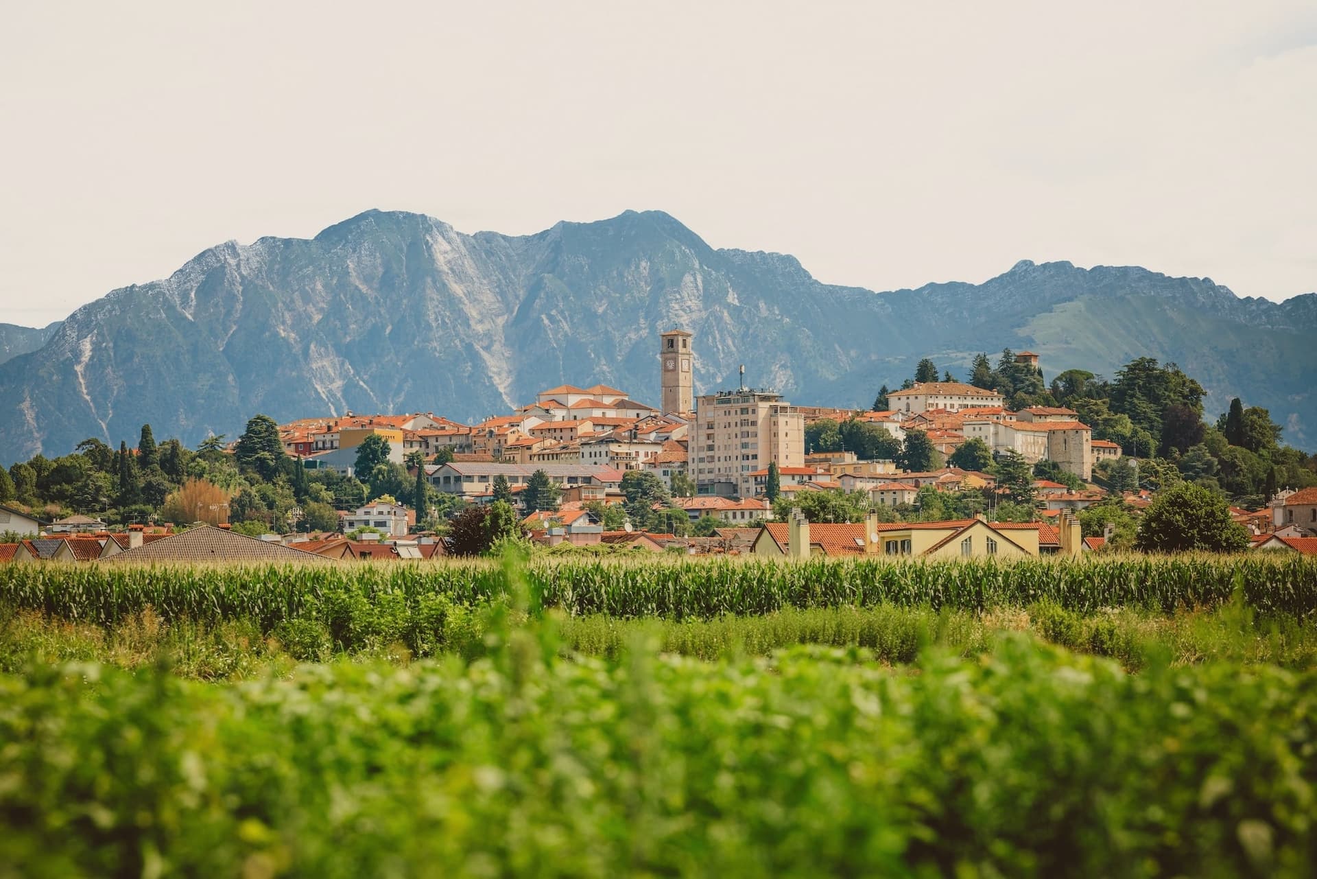 00 San Daniele Del Friuli