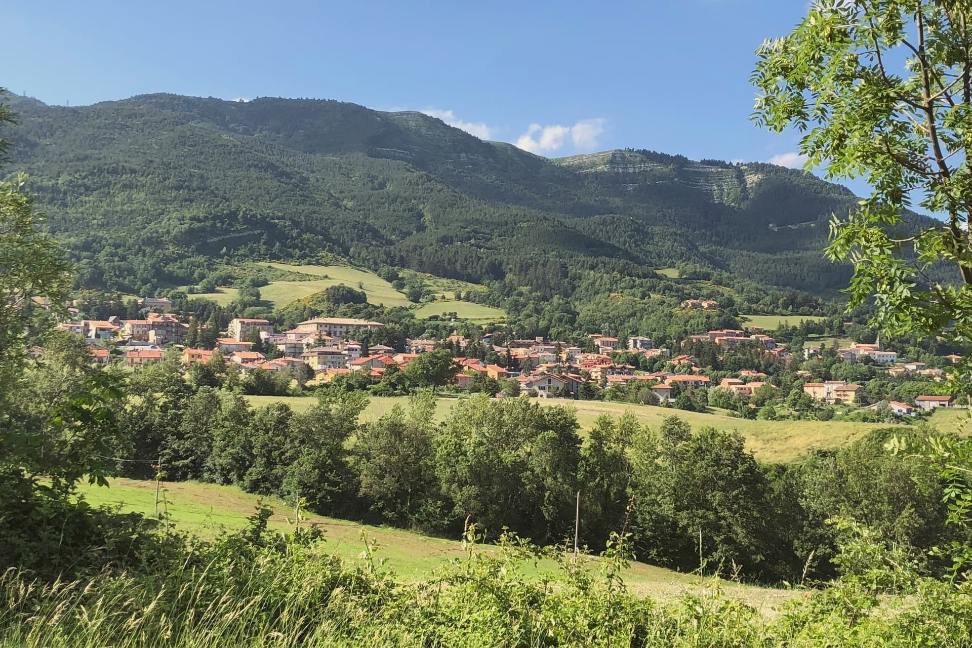 00 Carpegna