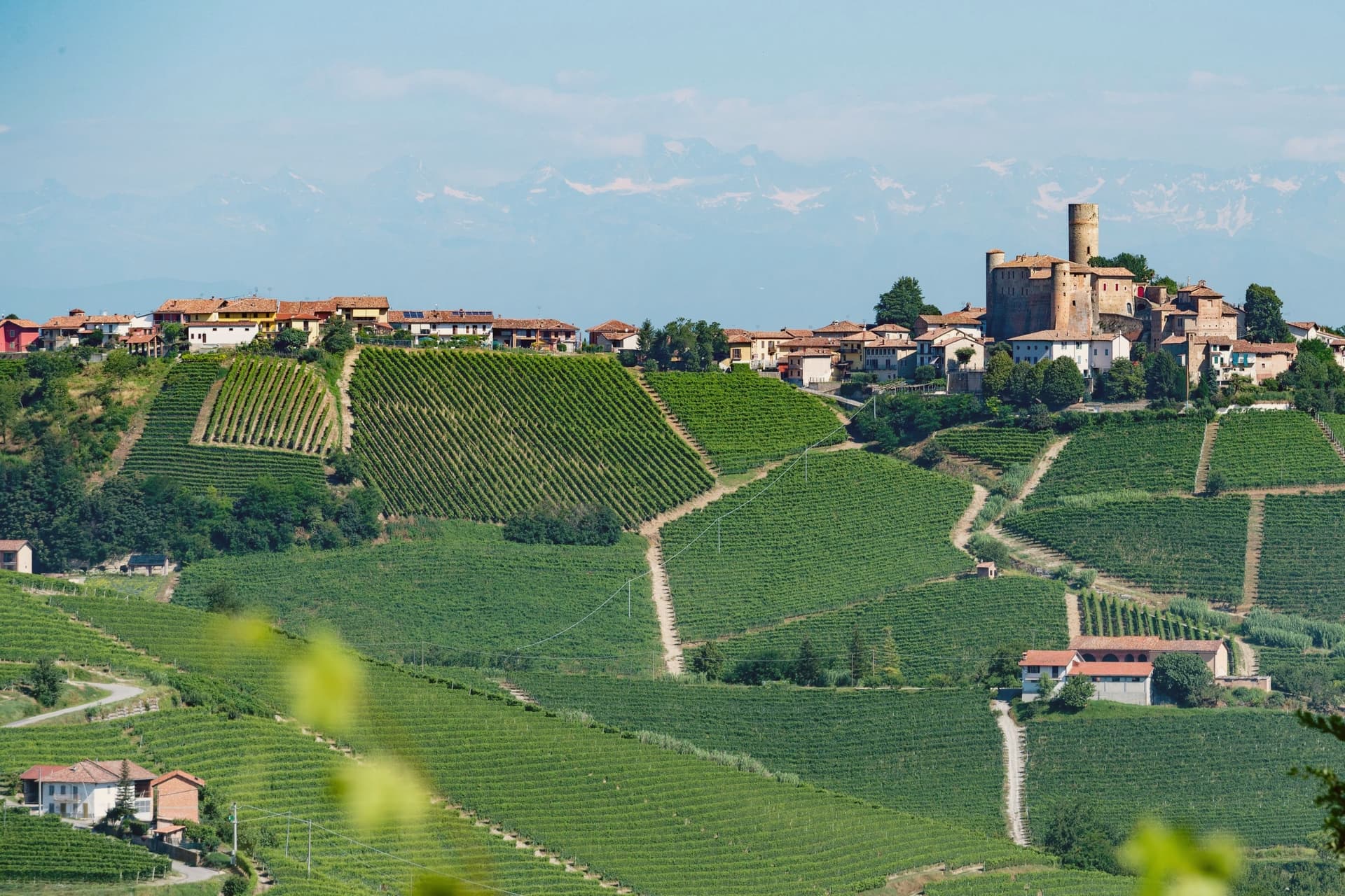 00 Castiglione Falletto