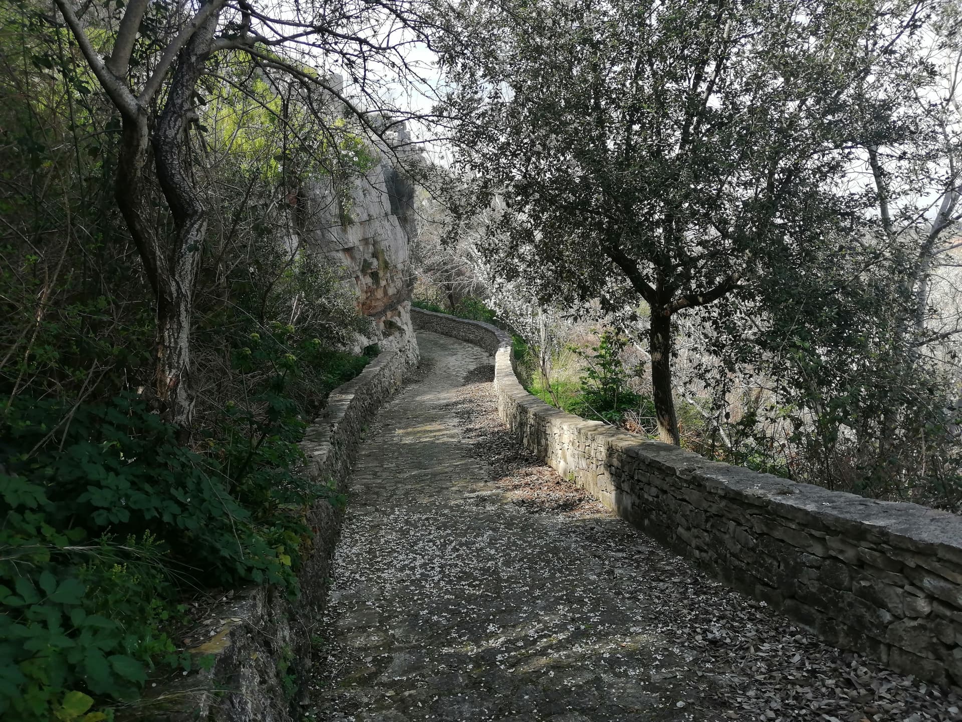 Minervino Murge — photo 2
