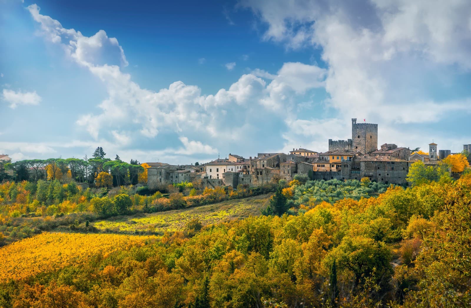 Castellina in Chianti — photo 2