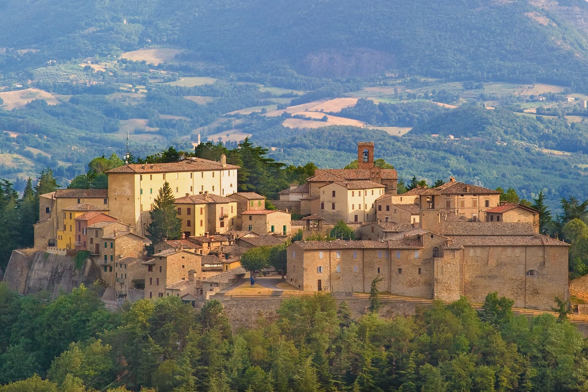 Montone, photo 2
