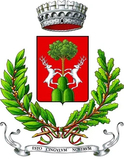 Stemma di Cingoli