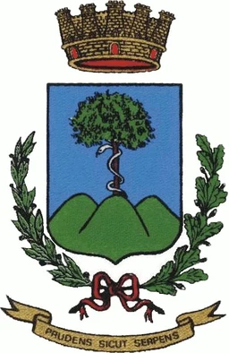 Stemma di Nusco